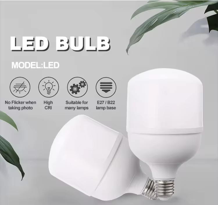 energy saving light bulb (30)