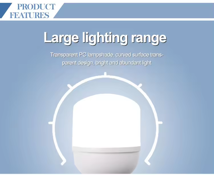 energy saving light bulb (31)